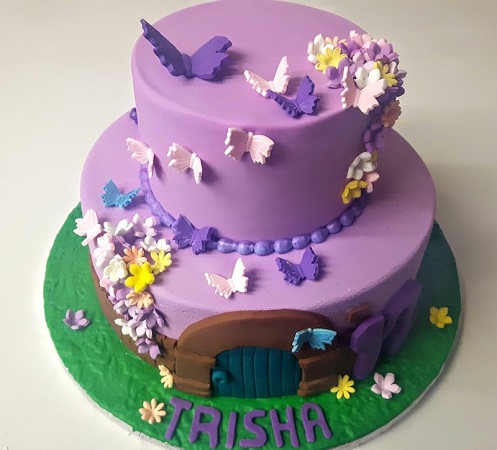 Encanto 2 Tier Fondant Butterfliers Blossoms Girl Birthday Cake