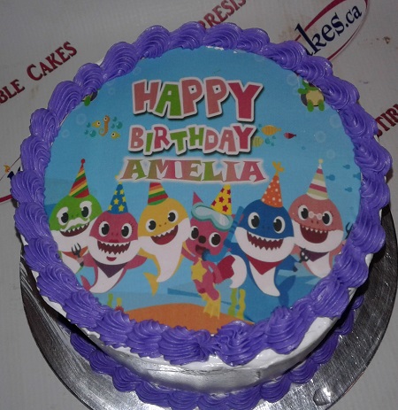 Baby Shark Girl Boy Birthday Full Picture Photo Cake Lady Bug