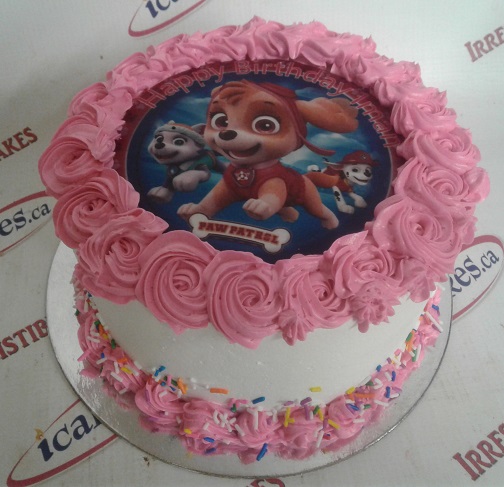 Paw Patrol Character Layer Cake - Classy Girl Cupcakes
